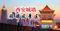 屌逼视频免费精品网站中国陕西-西安城墙旅游风景区