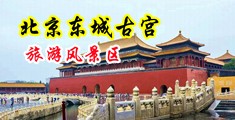 天天插插插中国北京-东城古宫旅游风景区